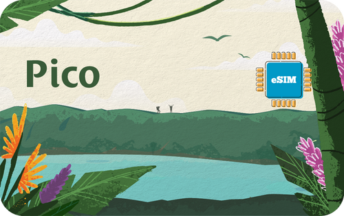 pico-in-7days-1gb