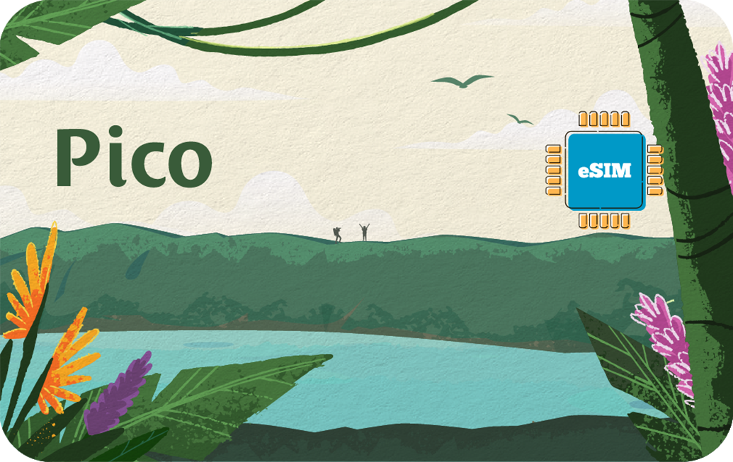 pico-in-30days-20gb