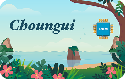 choungui-in-7days-1gb