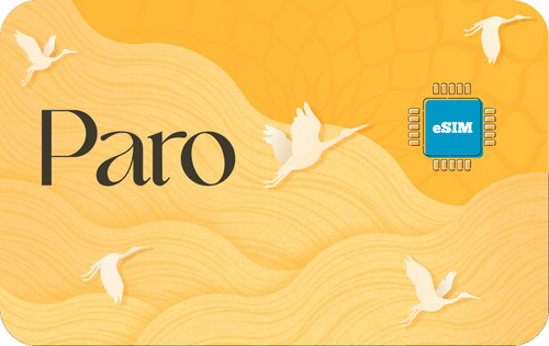 paro-30days-10gb