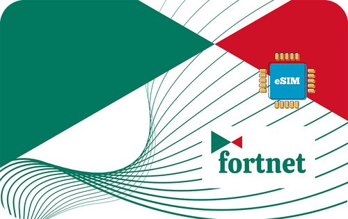 fortnet-in-7days-1gb
